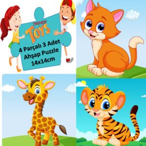 Ahşap Puzzle Ilk Yapbozum 3 Adet 4 Parçalı 14x14cm