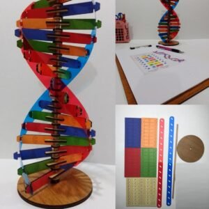 Dna Modeli Eğitici Ahşap Renkli Dna Seti 30 cm