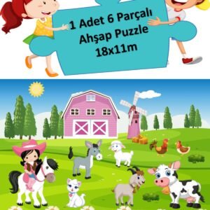 Ahşap Puzzle Ilk Yapbozum 1 Adet 6 Parçalı 18x11cm